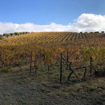 Konukevi Quinta Da Pereira E Enricas Agro-turismo 2*