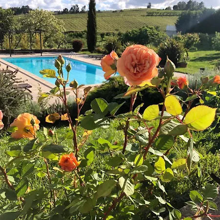 Quinta Da Pereira E Enricas Agro-turismo Гостевой дом 3*