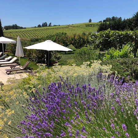 Quinta Da Pereira E Enricas Agro-turismo Gæstehus