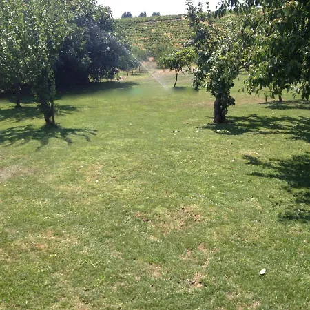 Affittacamere Quinta Da Pereira E Enricas Agro-turismo 3*