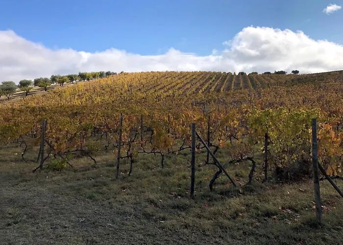 Гостевой дом Quinta Da Pereira E Enricas Agro-turismo 3*