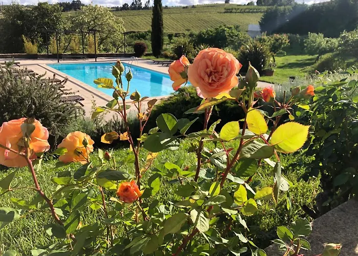 Quinta Da Pereira E Enricas Agro-turismo Гостевой дом 3*