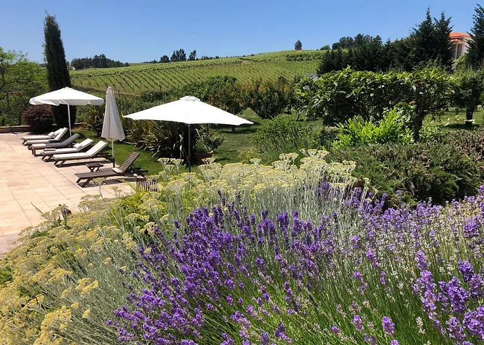 Quinta Da Pereira E Enricas Agro-turismo Casa de hóspedes