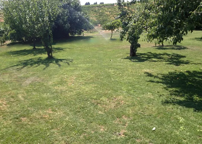 Гостевой дом Quinta Da Pereira E Enricas Agro-turismo 3*